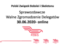 Sprawozdawcze WZD 2020 Sprawozdawcze WZD 2020